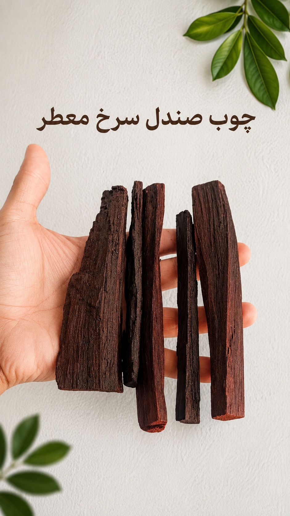 چوب صندل سرخ معطر