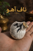 ناف آهو مُشک دار