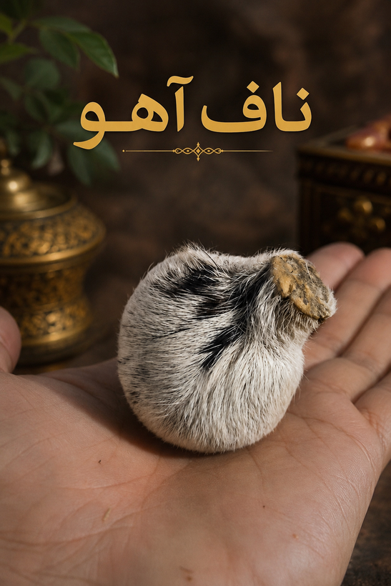 ناف آهو مُشک دار